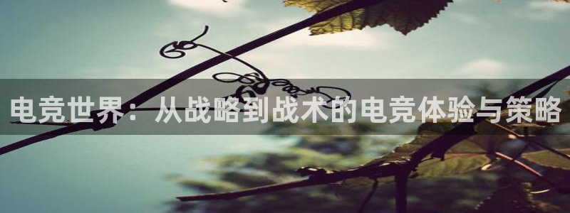 蜂鸟电竞怎么发布方案