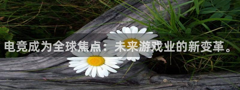 蜂鸟电竞多少钱一小时：电竞成为全球焦点：未来游戏业的新变革。