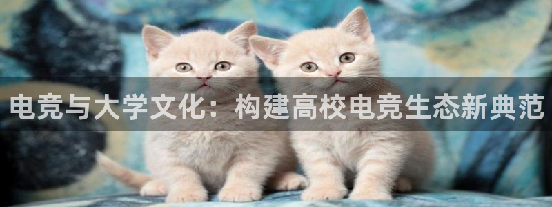 蜂鸟电竞怎么看比赛：电竞与大学文化：构建高校电竞生态新典范