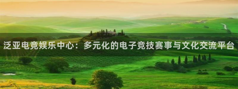 蜂鸟电竞怎么看直播：泛亚电竞娱乐中心：多元化的电子竞技赛事与文化交流平台
