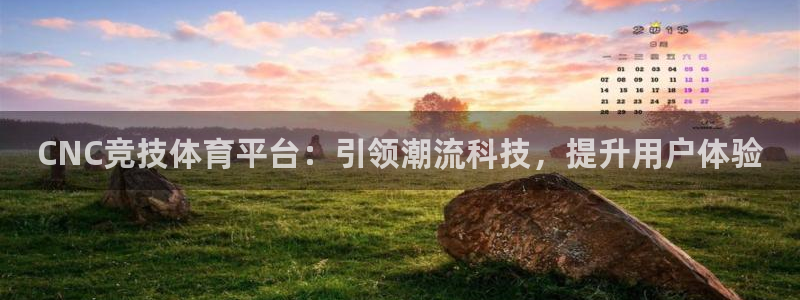 蜂鸟电竞怎么注册：CNC竞技体育平台：引领潮流科技，提升用户体验