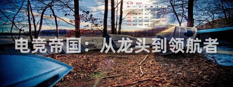 蜂鸟电竞怎么注册：电竞帝国：从龙头到领航者