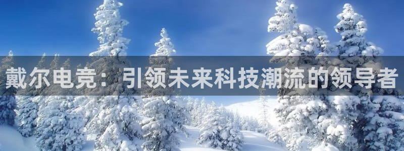 蜂鸟电竞怎么押注：戴尔电竞：引领未来科技潮流的领导者