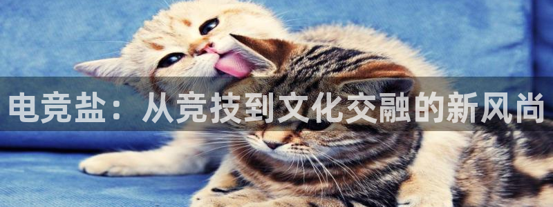 蜂鸟电竞怎么看直播：电竞盐：从竞技到文化交融的新风尚