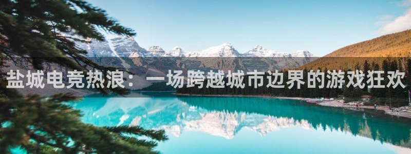 蜂鸟电竞怎么押注：盐城电竞热浪：一场跨越城市边界的游戏狂欢
