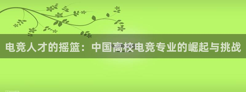 蜂鸟电竞电脑版：电竞人才的摇篮：中国高校电竞专业的崛起与挑战
