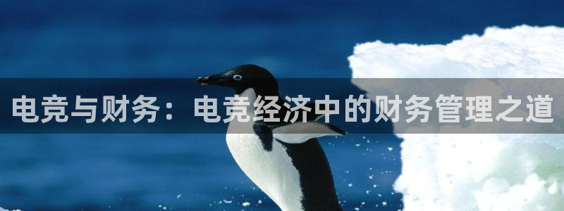 蜂鸟电竞网页版：电竞与财务：电竞经济中的财务管理之道