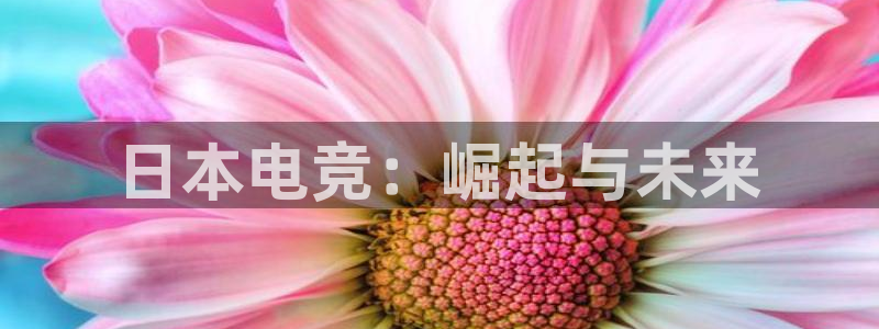 蜂鸟电竞下载：日本电竞：崛起与未来