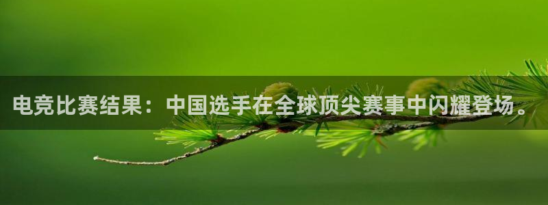 蜂鸟电竞怎么发布方案：电竞比赛结果：中国选手在全球顶尖赛事中闪耀登场。