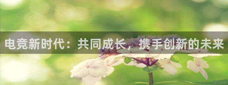 蜂鸟电竞在线：电竞新时代：共同成长，携手创新的未来